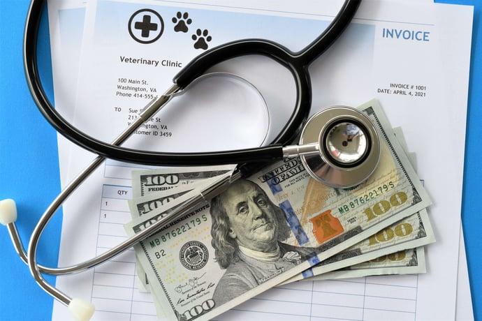 medical-care-cost-of-pets-cats-dogs-house-pet-2023-11-27-05-32-07-utc-2