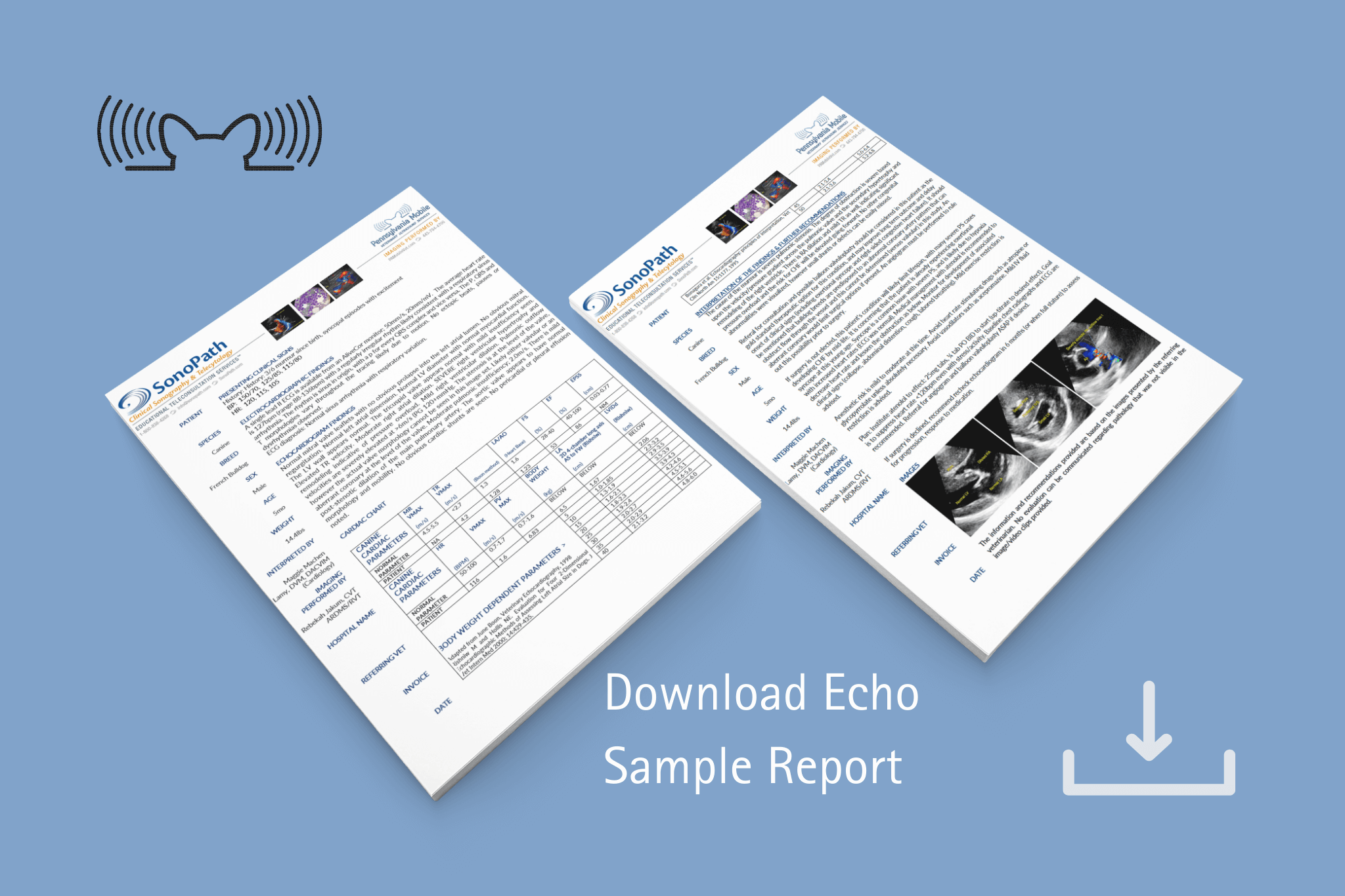 PA Mobile - Sample Echo Report