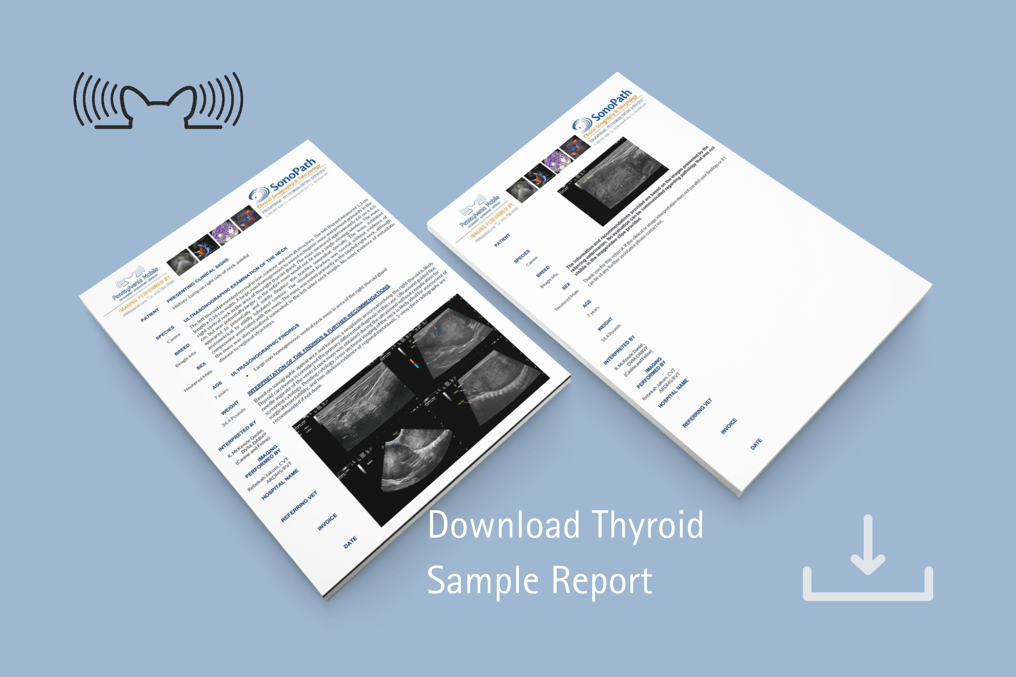 PA Mobile - Sample Thyroid Report