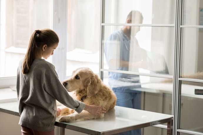 girl-and-dog-2023-11-27-05-33-12-utc-2