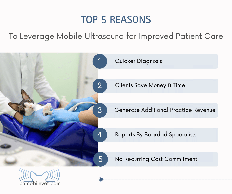 PA Mobile Top 5 Reasons-2 PA Mobile Top 5 Reasons-2